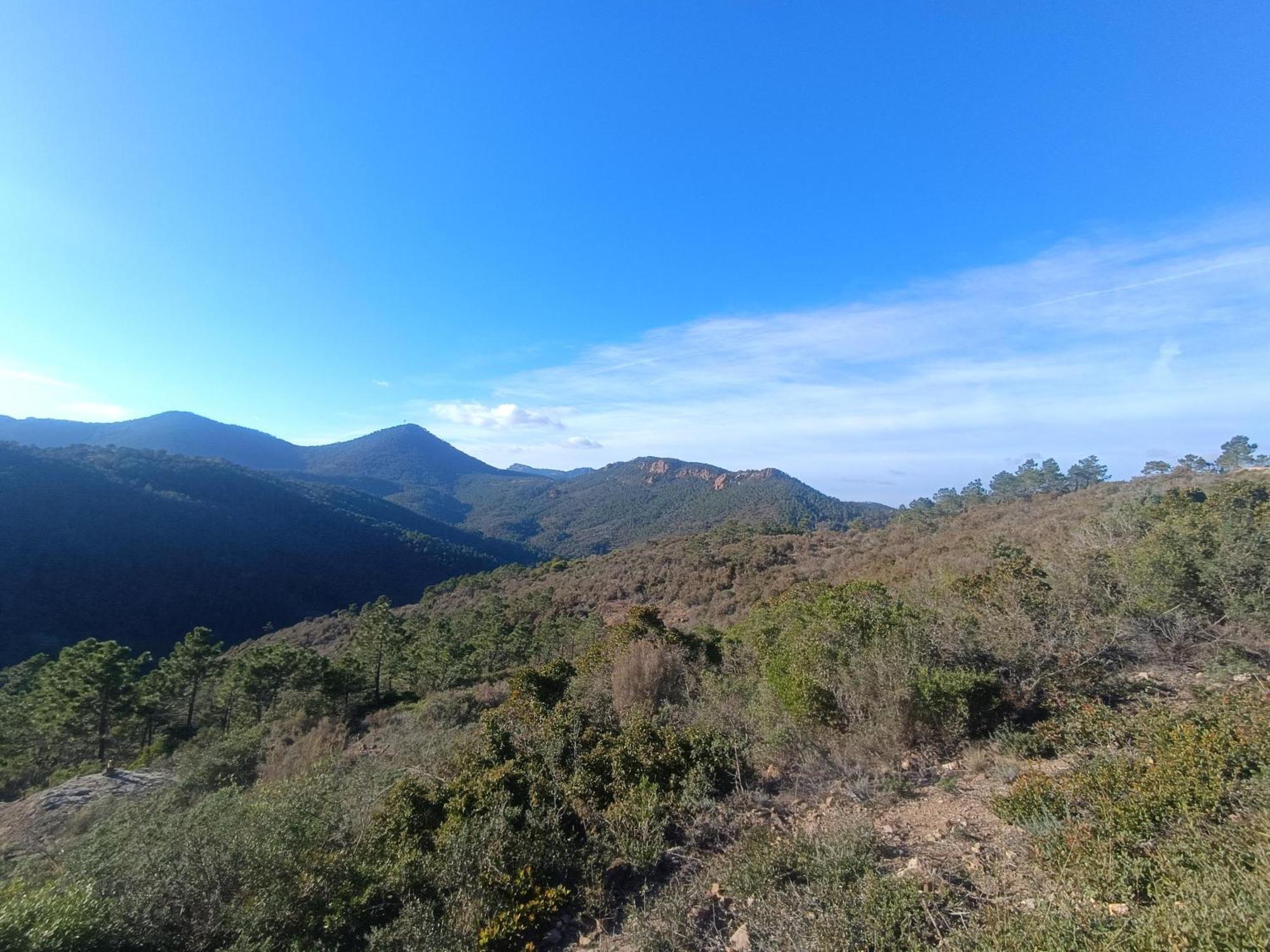 Magnifique Vue Mer Et Piscine - Les Cles De L Esterel 테울쉬르메르 외부 사진