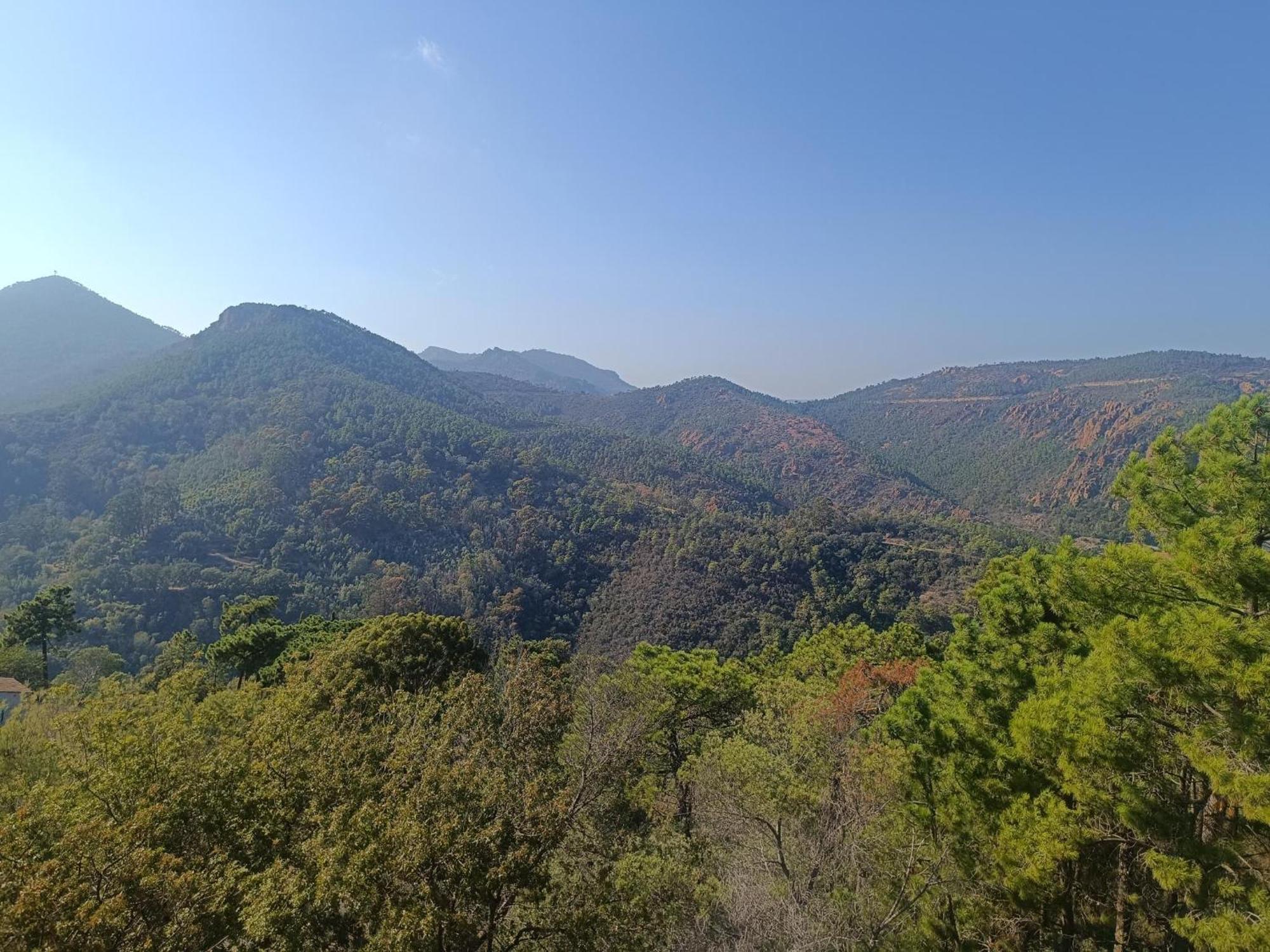Magnifique Vue Mer Et Piscine - Les Cles De L Esterel 테울쉬르메르 외부 사진